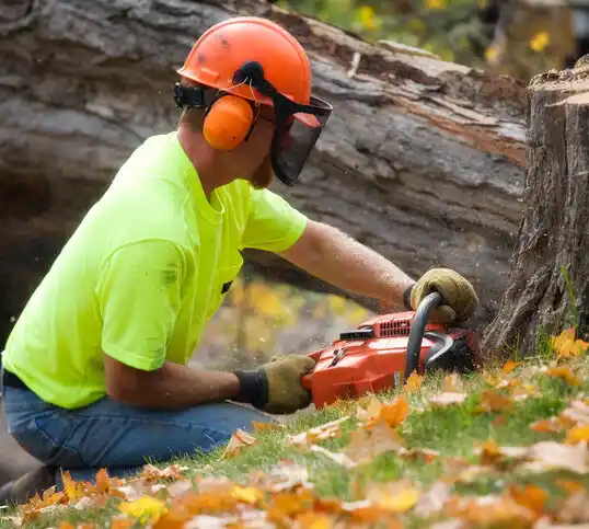 tree services Pikesville